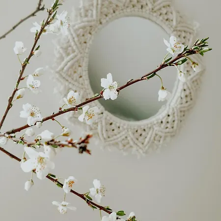 Appartement Velegi Kaland Tanya *