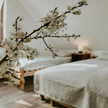 Velegi Kaland Tanya Nagyveleg