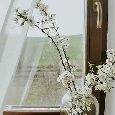 Appartement Velegi Kaland Tanya *